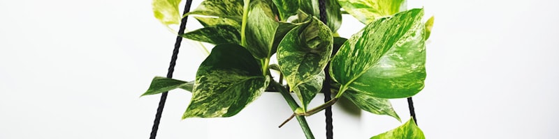 英超联赛曼城对阵利物浦的激烈比赛场面，球员正在争抢足球